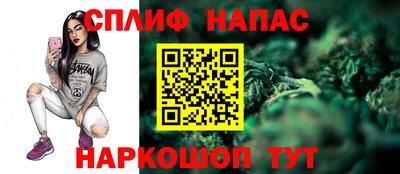 амф Можга