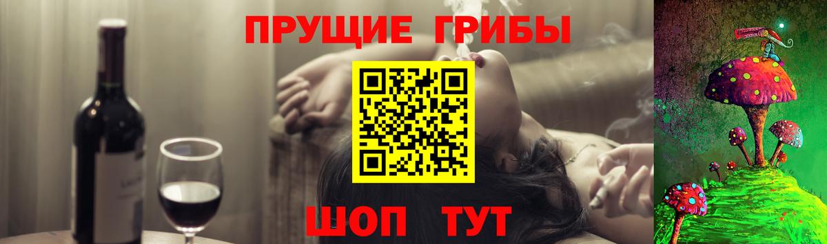 Галлюциногенные грибы прущие грибы  Псилоцибиновые грибы Magic Shrooms  Вход с VPN  Светлоград 